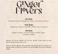 Carpex A1 Eco Geniş Alan Koku Makinesi ve Ginger Flowers A1 Koku Kartuşu 200 Ml Set