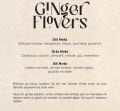 Carpex E2 Power Eco Koku Makinesi ve Ginger Flowers E2 Power Koku Kartuşu 125 Ml Set