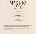 Carpex Micro Koku Makinesi Siyah + 50 Ml Koku Kartuş Set Marine Life